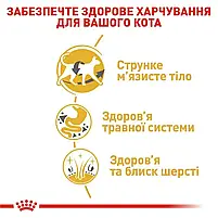 Сухий корм для дорослих котів породи мейн-кун Royal Canin Maine Coon Adult свійський птах 10 кг, фото 4