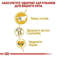 Сухий корм для котів Royal Canin British Shorthair Adult свійський птах 4 кг, фото 5