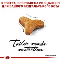 Сухий корм для дорослих котів бенгальської породи Royal Canin Bengal Adult свійський птах 2 кг, фото 3