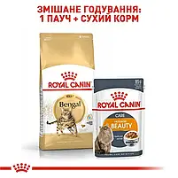 Сухий корм для дорослих котів бенгальської породи Royal Canin Bengal Adult свійський птах 2 кг, фото 6