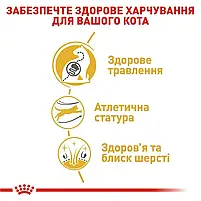 Сухий корм для дорослих котів бенгальської породи Royal Canin Bengal Adult свійський птах 2 кг, фото 7