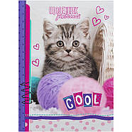 Щоденник у твердій обкладинці В5, фото 4