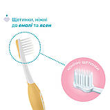Зубна щітка для перших зубів 6-36 міс (2 шт) 12082 Chicco, хлопчик, фото 4