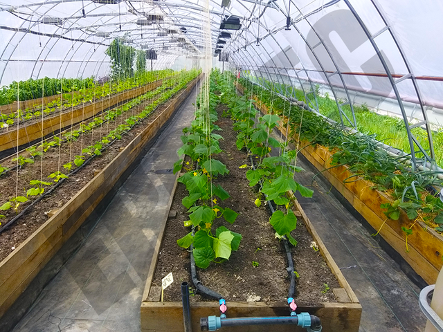 Купить систему капельного полива