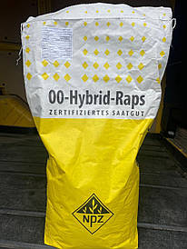 Насіння озимого ріпаку NPZ Атора Лембке Lembke