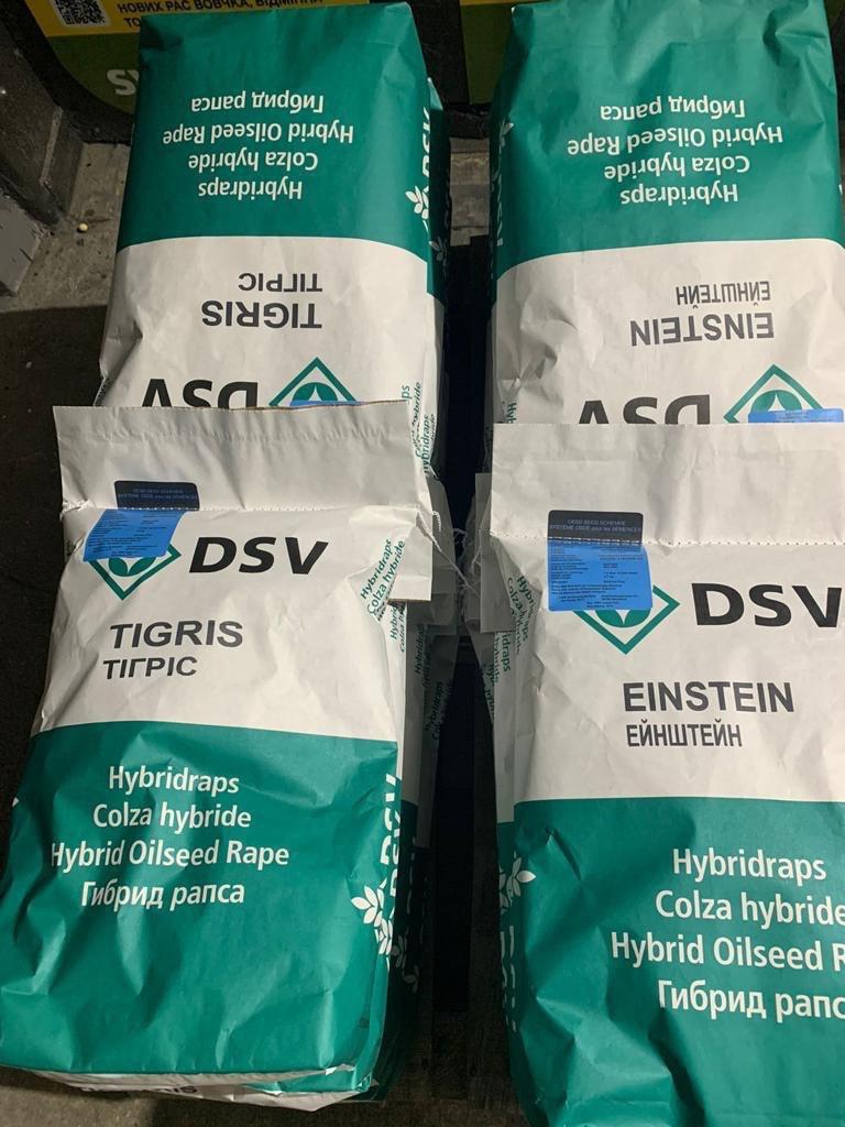 Озимий ріпак Фінікс КЛ DSV