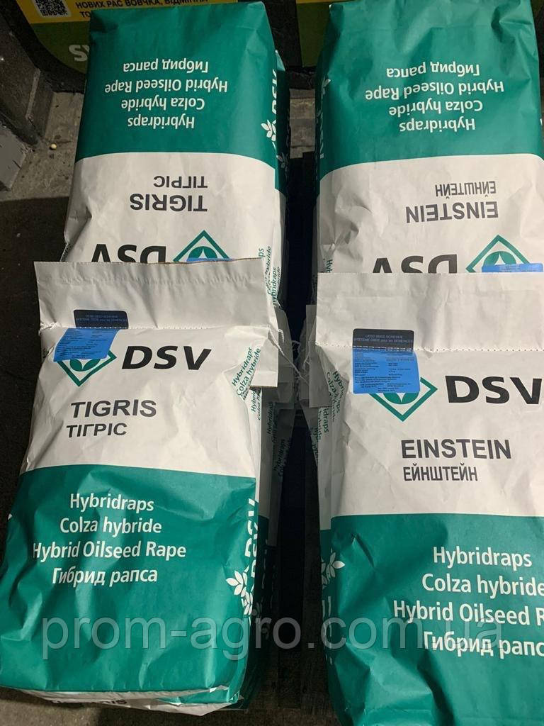 Озимий ріпак Оріолус DSV