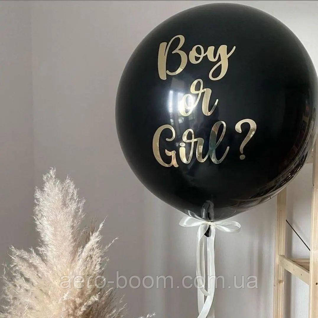 Композиція з повітряних куль на гендер паті, фото 1