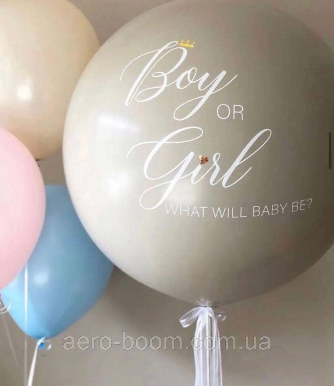 Композиція з повітряних куль на гендер паті, фото 1