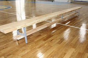 Лава гімнастична Стандарт