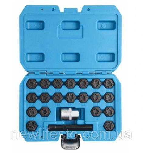 Набір головок для демонтажу секретних болтів VAG 22 шт. 113813A, фото 1
