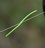 Маркерна Гумка флуоро-зелена MARKER ELASTIC FLUO-GREEN 6m, фото 6