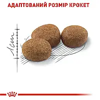 Сухий корм для стерилізованих котів Royal Canin Sterilised свійський птах 4 кг, фото 4