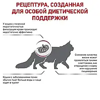 Сухий корм для котів при захворюваннях нирок Royal Canin Renal свійський птах 400 г, фото 4