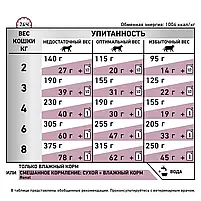 Сухий корм для котів при захворюваннях нирок Royal Canin Renal свійський птах 400 г, фото 5