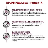 Сухий корм для котів при захворюваннях нирок Royal Canin Renal свійський птах 400 г, фото 9