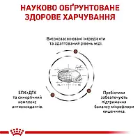 Сухий корм для котів при захворюваннях печінки Royal Canin Hepatic свійський птах 2 кг, фото 4