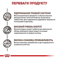 Сухий корм для котів при захворюваннях шлунково-кишкового тракту Royal Canin Gastro Intestinal свійський птах 2 кг, фото 4