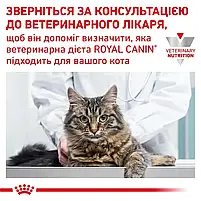Сухий корм для котів при захворюваннях шлунково-кишкового тракту Royal Canin Gastro Intestinal свійський птах 2 кг, фото 10