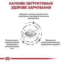Сухий корм для котів при цукровому діабеті Royal Canin Diabetic свійський птах 1.5 кг, фото 5