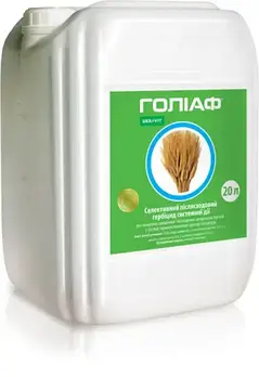 Голіаф, РК 20л