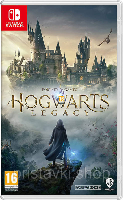 Hogwarts Legacy Nintendo Switch