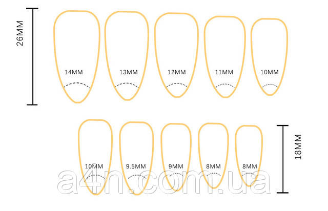 Накладные ногти - Интернет-магазин A4N Размеры накладных ногтей