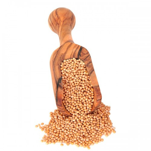 Гірчиця жовта (сидерат) 1 кг, фото 1