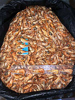 Креветки чорноморські мікс 1,5 - 3,0 см