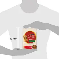 Вологий корм для собак Purina One Mini Active для малих порід з яловичиною шматочки у підливці 100 г, фото 4
