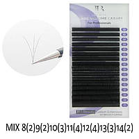 Вії I-Beauty Flare Volume mix 8-14 mm