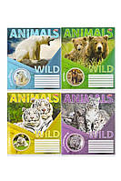 Тетрадь в линейку 12 листов "Мечты" цвет разноцветный ЦБ-00190173