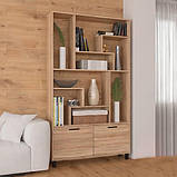 Шафа для книг з 2 дверцями в вітальню, Полиця для книг 120 см на 10 відділень, Книжковий стелаж для дому, фото 5