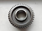 Шестерня КПП 2 передачі (21x41) Fiat Ducato 244, Peugeot Boxer, Citroen Jumper (02-06) 2.0/2.2/2.3/2.8 JTD/HDi, GP, Італія, фото 2
