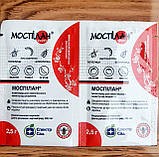 Системний інсектицид Моспілан, 2.5г., Спектр Сад, фото 3