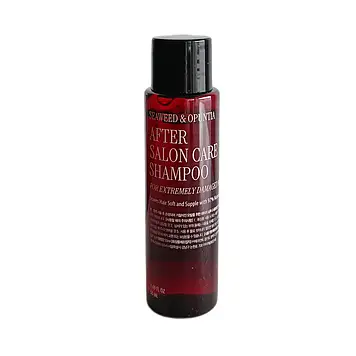 Відновлюючий шампунь для сильно пошкодженого волосся Curly Shyll After Salon Care Shampoo 50 мл