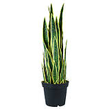 Штучна рослина Engard Sansevieria, 92 см (DW-12), фото 3