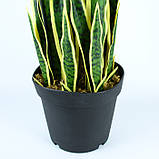 Штучна рослина Engard Sansevieria, 92 см (DW-12), фото 7