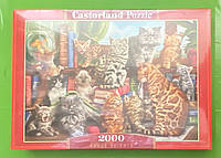 Пазли Кішки (2000 елементів). Castorland 200726