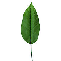 Штучне листя Engard Spathiphyllum 65 см (DW-33)