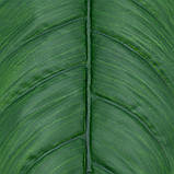 Штучне листя Engard Spathiphyllum 65 см (DW-33), фото 6