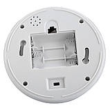 Муляж камери (купольна) PROCESS, фото 2