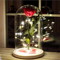 🌹Підсвічування світлодіодна гірлянда нитка крапля роси 2 м для троянди в колбі Lerosh 33 см