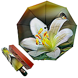 Жіноча парасолька-автомат у подарунковій упаковці на 9 спиць з квітковим принтом від Frei Regen зелена ручка 09086-4, фото 2