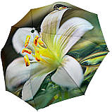 Жіноча парасолька-автомат у подарунковій упаковці на 9 спиць з квітковим принтом від Frei Regen зелена ручка 09086-4, фото 3