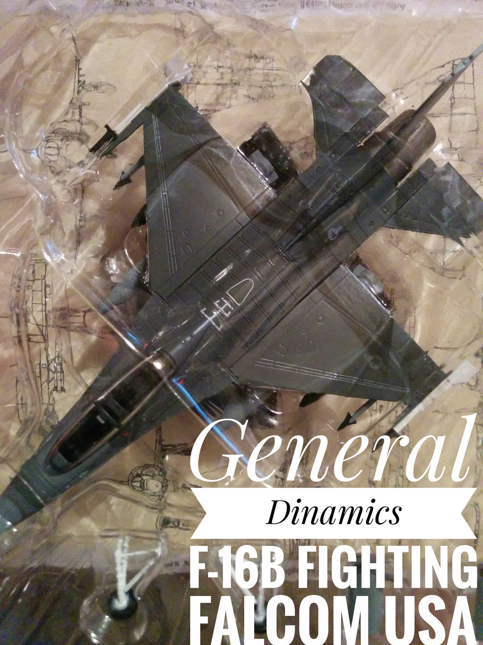 Літак General Dinamics F-16B Fighting Falcom USA