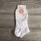 Шкарпетки жіночі короткі кольорові 36-40 Deoir 8070, фото 7