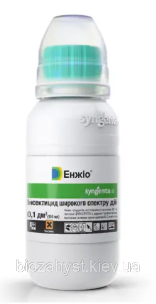 Інсектицид Енжіо 247 SC, к. с. 100 мл, Syngenta