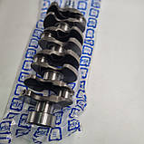 Вал коленчатий Q-FIX Q299-0171 MN149764, фото 2