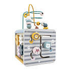 Бізікуб дерев'яний Viga Toys PolarB 5 в 1, фото 4